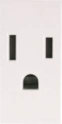 ABB Socket outlet insert/cover NEMA Without