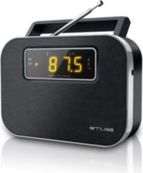 Muse | M-081R | Alarm function