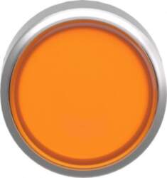 Schneider Electric Head for illuminated push