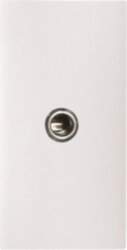 ABB Insert/cover ModularJack 1 gang White