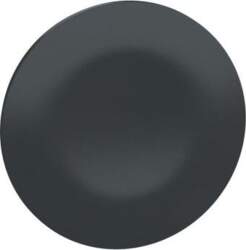 Schneider Electric black cap unmarked for
