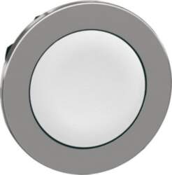 Schneider Electric Flush mounted push button