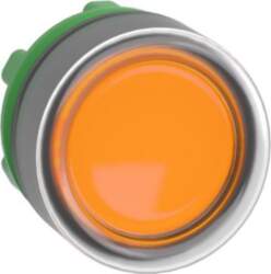 Schneider Electric Head for illuminated push