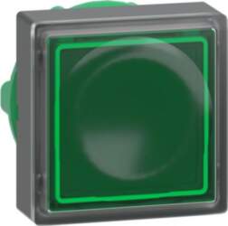 Schneider Electric Head for illuminated push