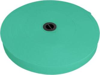 Elastīga mint lenta 20 mm 25