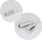 - OEM Adapter AUX 2in1 Lightning