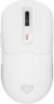 - Genesis Zircon 660 PRO |