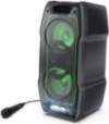 Sharp Party Speaker System with Built-in