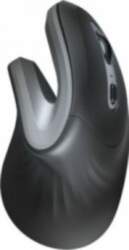 Trust Datorpele Verro Ergonomic Black
