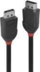 - LINDY CABLE DISPLAY PORT 2M