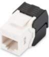 - Digitus CAT 6 Keystone Jack