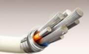 - Joyroom Joyroom S-A53 3A USB-A