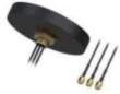 - Teltonika ANTENNA MOBILE / GNSS