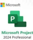 Microsoft ® Project Professional 2024 All