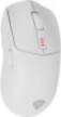 - Genesis Zircon 500 | Wireless