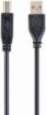 GEMBIRD Cable USB2 AM-BM 1 m
