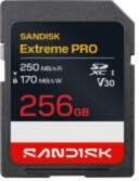 - SANDISK BY WESTERN DIGITAL MEMORY