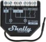 - Shelly Controller Shelly Qubino Wave2PM