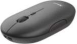 Trust MOUSE USB OPTICAL WRL /