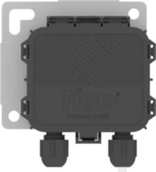 Tigo