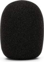 RØDE WS2
