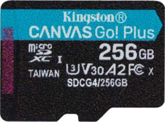 Kingston Technology Kingston Technology Canvas Go