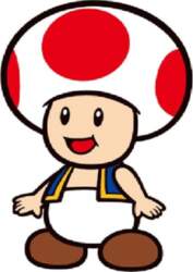 Nintendo Super Mario Bros Toad 3D