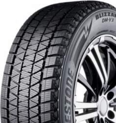 Bridgestone Tires Blizzak DM-V3 100 S
