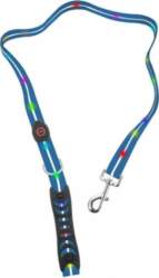 Media-Tech Colored LED lighted PVC leash