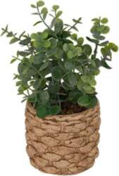 Atmosphera Artificial eucalyptus JAYE in ceramic