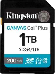 Kingston Technology Kingston Technology Canvas Go