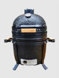 Proflame Expert Mini