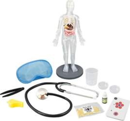 Buki Human Body