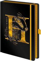 PYRAMID Piramīda Harijs Poters Hufflepuff premium