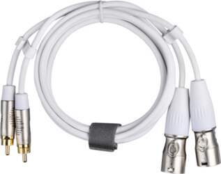 Fuj:tech 2 x RCA uros –