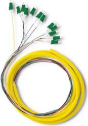 Qoltec 12 x LC/APC fiber optic