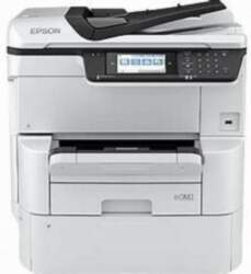 Epson WorkForce Pro WF-C878RDWF (RIPS) |