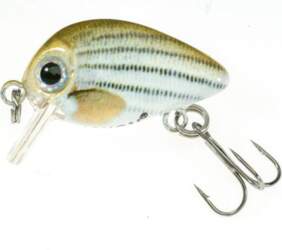 Jaxon ATRACT PIXEL LURES 2,5cm