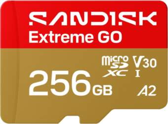 SANDISK BY WESTERN DIGITAL MEMORY MICRO