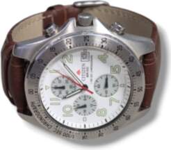 CITIZEN WR 100