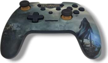 Nintendo Switch Hogwarts