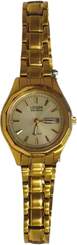 CITIZEN WR 100