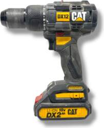 Cat DX12