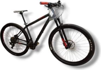Whistler Focus 29"