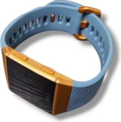Fitbit Ionic FB503