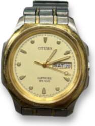 Citizen WR 100