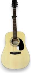 Gitara Cort AD810 OP