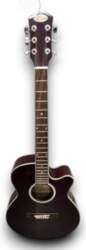 Stagg SW206CE-TR