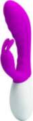 Romance Master Flirtation, vibrators