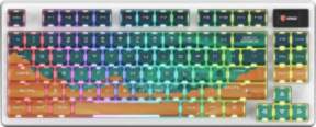 MSI FORGE GK600 TKL WIRELESS MARS